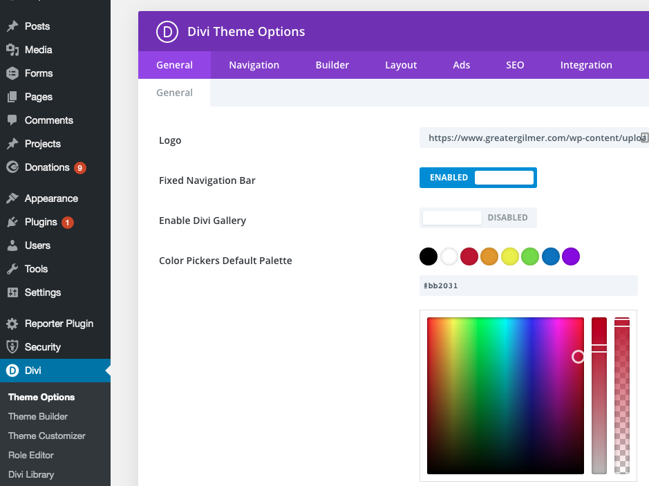 Divi Theme Options color pickers default palette