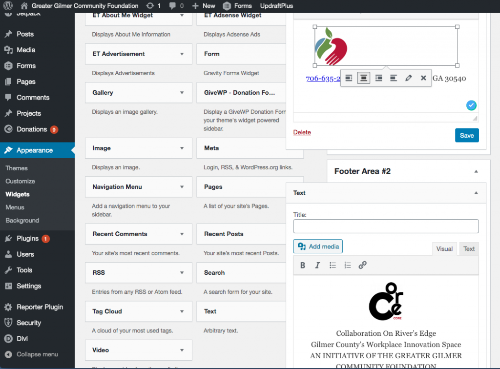 Footer Appearance Widgets