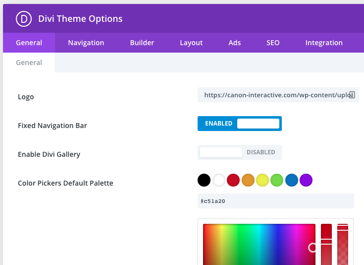 Divi Theme Options insert logo and set color swatches
